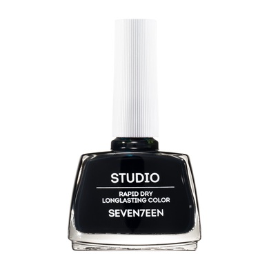 Studio Rapid Dry Longlasting Color