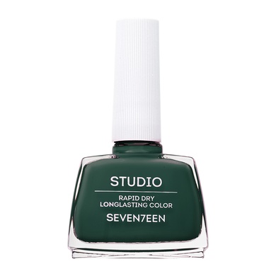 Studio Rapid Dry Longlasting Color