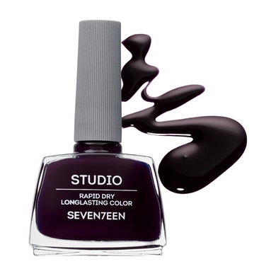 Studio Rapid Dry Longlasting Color