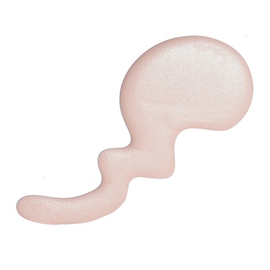 Studio Rapid Dry Longlasting Color