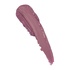 All Day Lip Color
