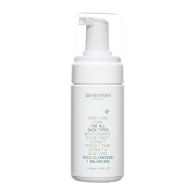 Purifying Foam Travel Size