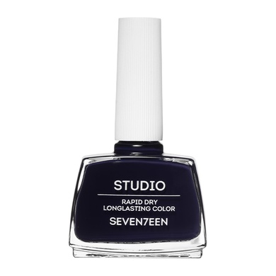 Studio Rapid Dry Longlasting Color