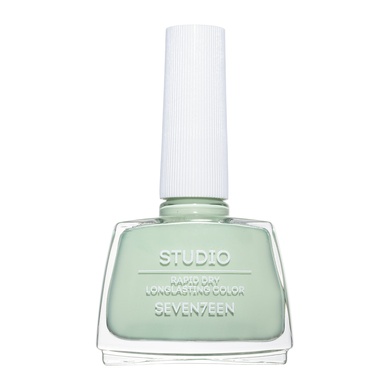 Studio Rapid Dry Longlasting Color