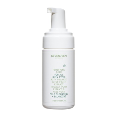 Purifying Foam Travel Size