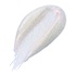 Juicy Shine SPF15
