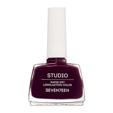 Studio Rapid Dry Longlasting Color