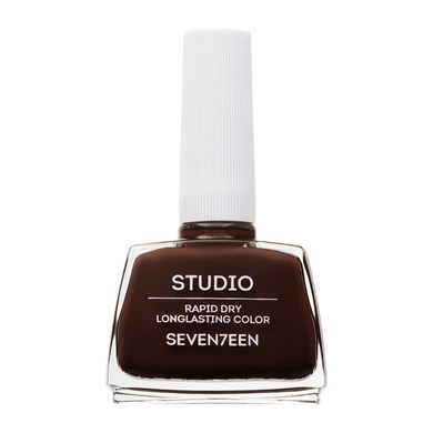 Studio Rapid Dry Longlasting Color