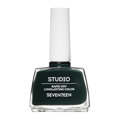 Studio Rapid Dry Longlasting Color