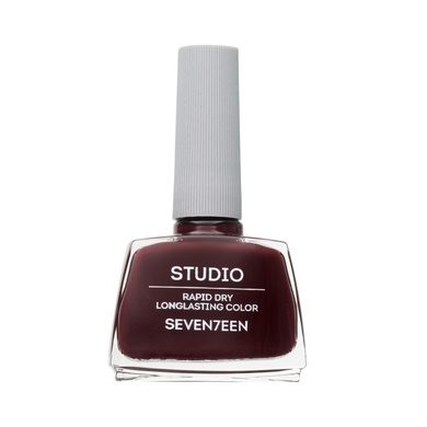 Studio Rapid Dry Longlasting Color