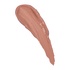 All Day Lip Color